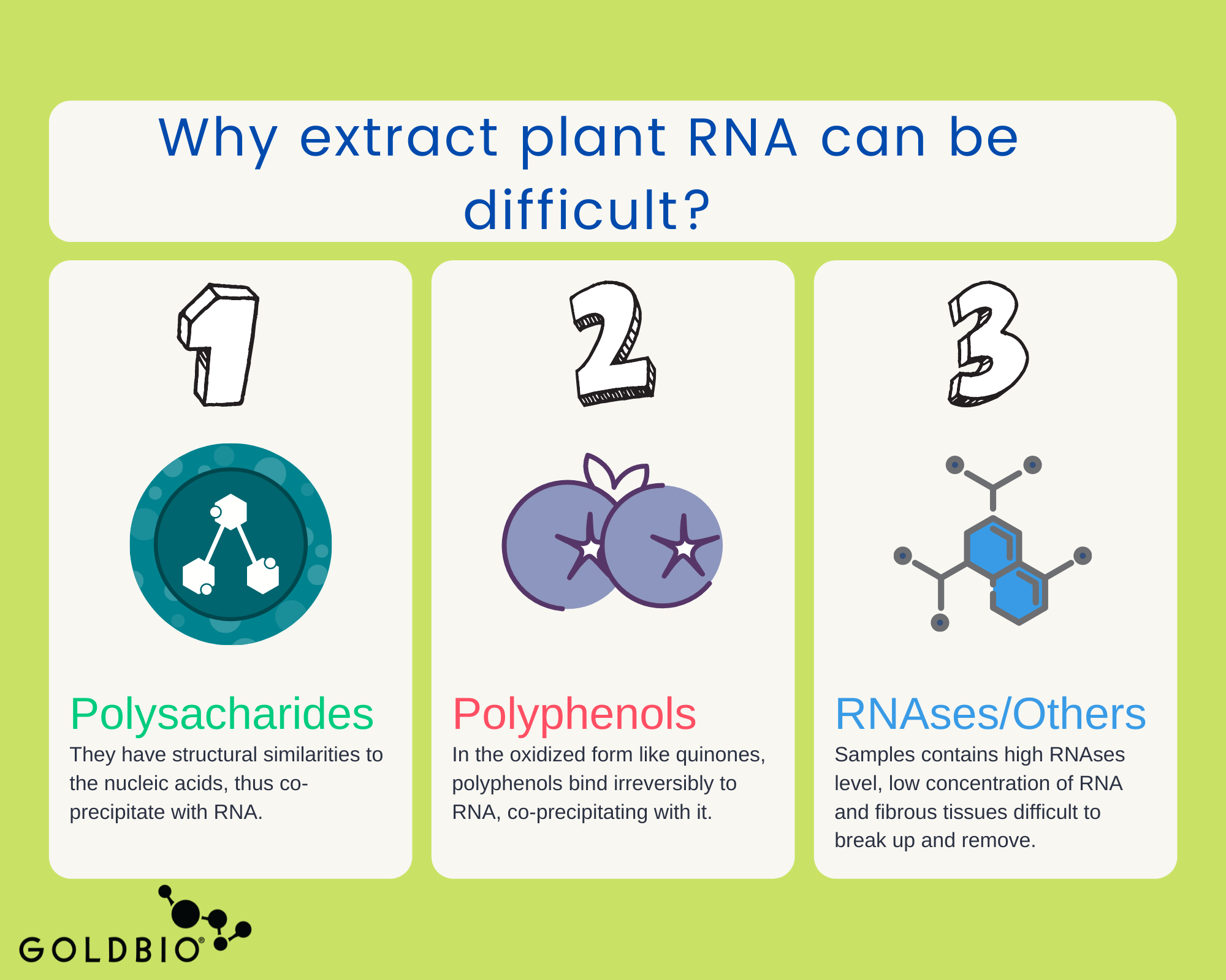 Plant RNA Extraction Overview Methods, Tips, Steps and More GoldBio